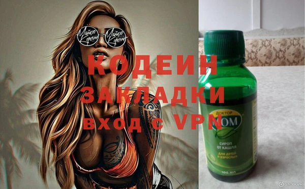 таблы Гусев