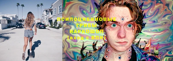 таблы Гусев
