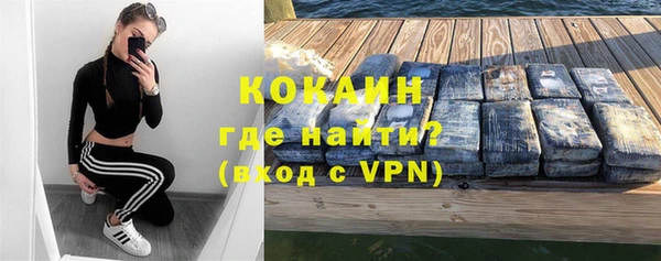 таблы Гусев