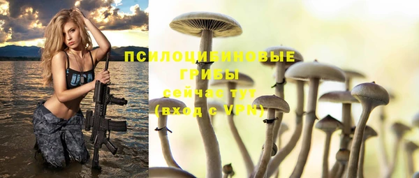 кокс Гусь-Хрустальный