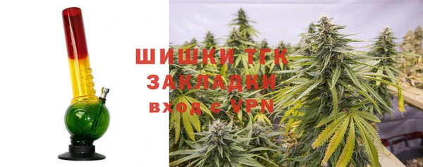 таблы Гусев