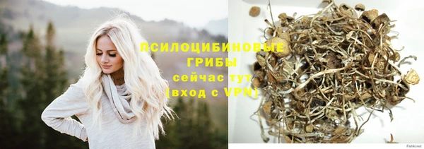 индика Дегтярск