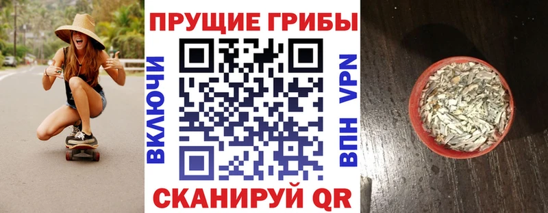 Галлюциногенные грибы Psilocybe  наркота  кракен зеркало  Жигулёвск 